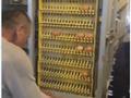 Сельское хозяйство · 500 м² за 220 млн ₸ в Уральске — фото 7
