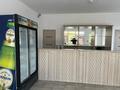 Свободное назначение, офисы, магазины и бутики · 36 м² за 250 000 ₸ в Актобе, мкр 5 — фото 3