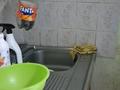 2-бөлмелі пәтер · 40 м² · 1/2 қабат, Жарылгасова 46 а, бағасы: 200 000 ₸ в Алматы, Турксибский р-н — фото 4