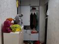 2-бөлмелі пәтер · 49 м² · 5/5 қабат, Кабанбай батыра 18 — Рядом жд больница, бағасы: 16 млн ₸ в Шымкенте, Аль-Фарабийский р-н — фото 2