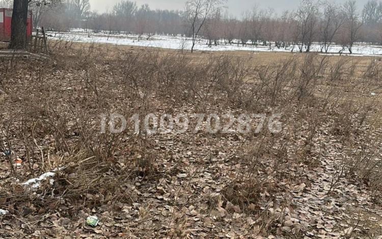 Жер телімі · 2 га, Жаркент, бағасы: 100 млн ₸ — фото 2