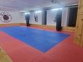 Фитнес и спорт · 300 м² за 5 000 ₸ в Астане, Алматы р-н