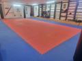 Фитнес и спорт · 300 м² за 5 000 ₸ в Астане, Алматы р-н — фото 5