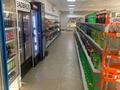 Магазины и бутики · 504 м² за 800 000 ₸ в Шымкенте, Каратауский р-н — фото 2
