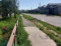 Отдельный дом · 6 комнат · 255 м² · 8 сот., Нуртас б/н за 80 млн ₸ в Шымкенте — фото 5