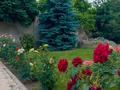 Отдельный дом · 5 комнат · 450 м² · 21 сот., Аймауытова — Тупиковая улица - Спокойное место - Азирет Омар мечеть - Ай Асыл детсад - за 270 млн ₸ в Каскелене — фото 58
