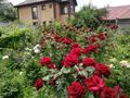 Отдельный дом · 5 комнат · 145 м² · 14 сот., мкр Достык, Мкр Достык. ул. Фарида Шарипова 2/35 — Ф. Шарипова * мал. Ташкентская. (Аксайнан). за 179.5 млн ₸ в Алматы, Ауэзовский р-н — фото 12