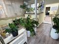 Еркін · 35 м², бағасы: 185 000 ₸ в Талдыкоргане — фото 5