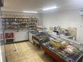 Магазины и бутики · 41 м² за 25 млн ₸ в Астане, Алматы р-н — фото 4