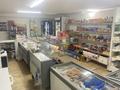 Магазины и бутики · 41 м² за 25 млн ₸ в Астане, Алматы р-н — фото 6