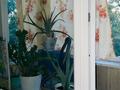 2-комнатная квартира · 45 м² · 4/5 этаж, Потанина 12/1 — КазАТУ, Ж/д больница за 20.3 млн ₸ в Астане, Сарыарка р-н — фото 19