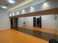 Фитнес и спорт, студии · 236.95 м² за ~ 1.4 млн ₸ в Алматы, Бостандыкский р-н — фото 18