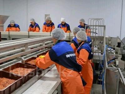 Бизнес в Владивостоке: Рыбоперерабатывающий завод · 81000 м² за 9.6 млрд 〒 Рыбоперерабатывающий завод · 81000 м² за 9.6 млрд 〒 в Владивостоке