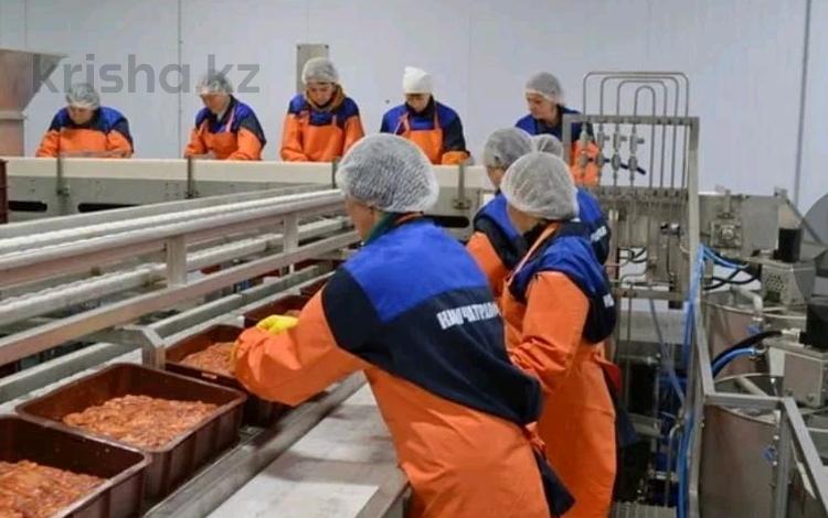 Рыбоперерабатывающий завод · 81000 м² за 9.6 млрд 〒 в Владивостоке — фото 2