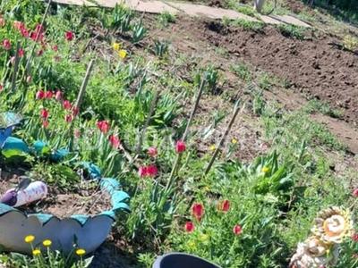 Дача · 2 комнаты · 30 м² · 6 сот., мкр 4 1 — Ябленовый за 1.8 млн 〒 в Уральске