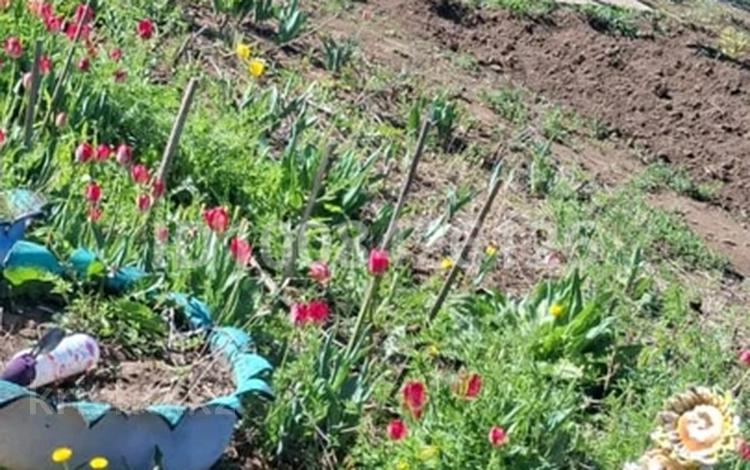 Дача · 2 комнаты · 30 м² · 6 сот., мкр 4 1 — Ябленовый за 1.8 млн 〒 в Уральске — фото 2