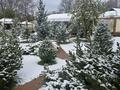 Дача · 4 комнаты · 400 м², Боралдай 10 за 150 000 ₸ в  — фото 37