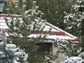 Дача · 4 комнаты · 400 м², Боралдай 10 за 150 000 ₸ в  — фото 41