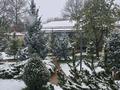 Дача · 4 комнаты · 400 м², Боралдай 10 за 150 000 ₸ в  — фото 42