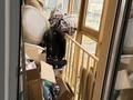 3-комнатная квартира · 105 м² · 6/18 этаж, Туркестан 2 за 68 млн ₸ в Астане, Есильский р-н — фото 28