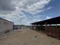 Свободное назначение · 100000 м² за 57 млн ₸ в  — фото 8