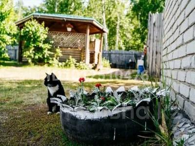 Продаётся готовый бизнес, дачи в аренду · 60 м² за 16 млн ₸ в Костанае, 1-й микрорайон