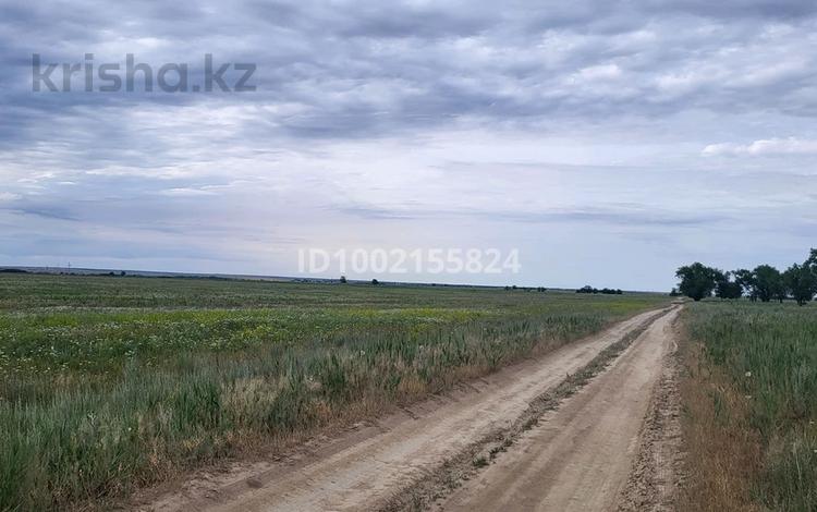 Участок · 5 га, Ельтай за 5 млн 〒 — фото 4