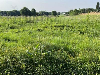 Участок · 6 соток, С.о. Райымбекский, с. Долан уч. 276/31 за 4 млн 〒