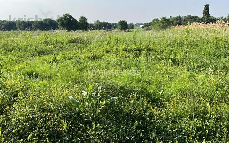 Участок · 6 соток, С.о. Райымбекский, с. Долан уч. 276/31 за 4 млн 〒 — фото 2