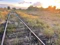 Участок · 75 соток, Пришахтинск за 60 млн ₸ в Караганде, Алихана Бокейханова р-н — фото 3