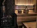 Зона отдыхы · 520 м², бағасы: 360 млн ₸ в Астане, Алматы р-н — фото 5
