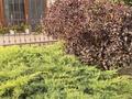 3-комнатная квартира · 155 м² · 1/4 этаж, мкр Мирас — Садыкова за 188 млн ₸ в Алматы, Бостандыкский р-н — фото 21