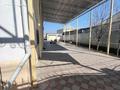 Отдельный дом · 6 комнат · 240 м² · 6 сот., улица Елибаева 9 — Кыпшакбаева за 55 млн ₸ в Таразе — фото 2