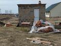 Участок · 11 соток, Озенбаи 266 — Возле ул Тогас за 2 млн 〒 в Усть-Каменогорске, Ахмирово — фото 9