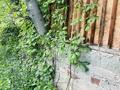 Дача · 3 комнаты · 62 м² · 10 сот., Коклайсай 7 за 11 млн ₸ в Алматы, Наурызбайский р-н — фото 33