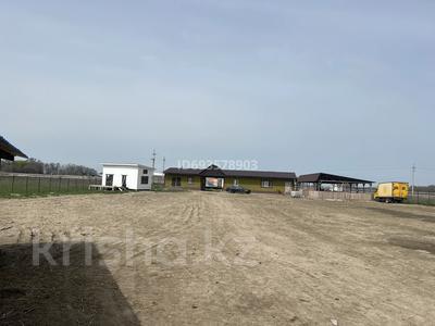 Эко ферма, 500 м², бағасы: 130 млн 〒 в Байтереке (Новоалексеевке)