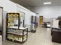 Готовый бизнес · 200 м² за 25 млн ₸ в Актау — фото 12