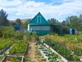 Дача · 1 комната · 30 м² · 6 сот., Каучук за 2.3 млн ₸ в Темиртау — фото 5