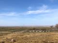 Сельское хозяйство · 25000 м² за 10 млн ₸ в Кулане — фото 19
