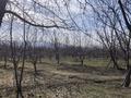 Сельское хозяйство · 25000 м² за 10 млн ₸ в Кулане — фото 6