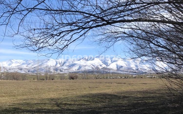 Сельское хозяйство · 25000 м² за 10 млн ₸ в Кулане — фото 6