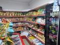 Магазины и бутики · 480 м² за 60 млн ₸ в  — фото 9