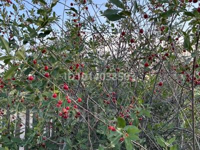 Саяжай · 3 бөлме · 32 м² · 6 жүзд., Металлург 5 зз, бағасы: 4 млн ₸ в Усть-Каменогорске, Ахмирово