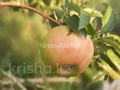 Бау- бақша стылады. · 50000 м² за 30 млн 〒 в Жанакоргане