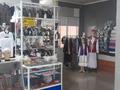 Магазины и бутики • 1100 м² за 85 млн 〒 в Каркаралинске — фото 14