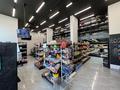 Магазины и бутики • 190 м² за 209 млн 〒 в Астане, Есильский р-н — фото 10