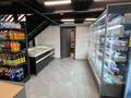 Магазины и бутики · 190 м² за 209 млн ₸ в Астане, Есильский р-н — фото 23