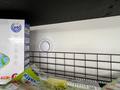 Магазины и бутики · 190 м² за 209 млн ₸ в Астане, Есильский р-н — фото 67