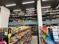 Магазины и бутики · 190 м² за 209 млн ₸ в Астане, Есильский р-н — фото 75