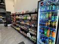 Магазины и бутики · 190 м² за 209 млн ₸ в Астане, Есильский р-н — фото 9
